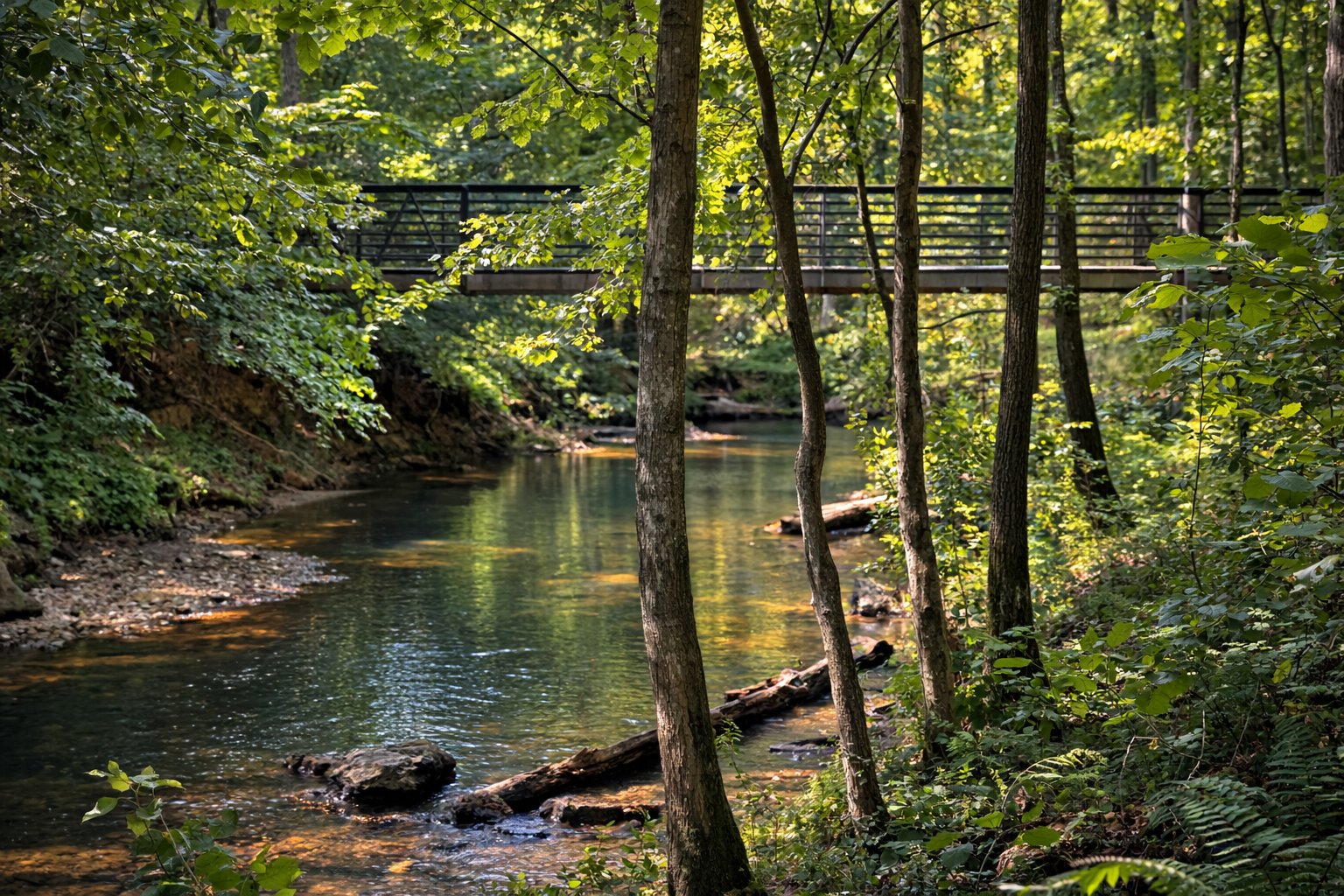 Bridge over Crabtree Creek at Company Mill Trail, Umstead State Park