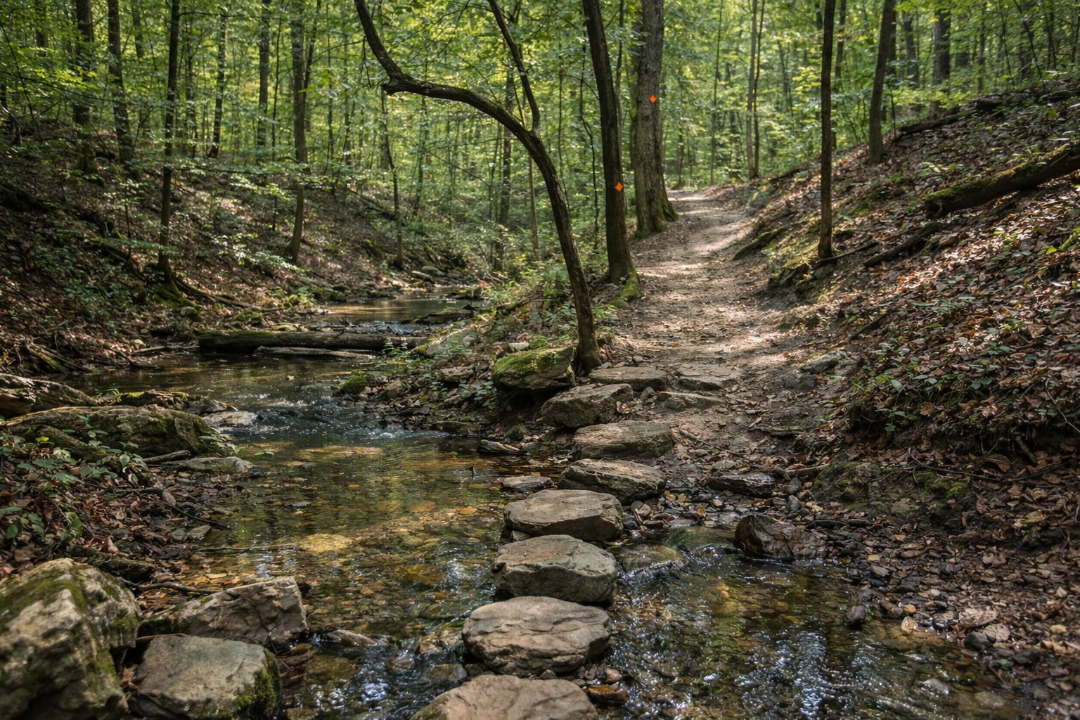 Stepping stones over Crabtree Creek on Company Mill Trail